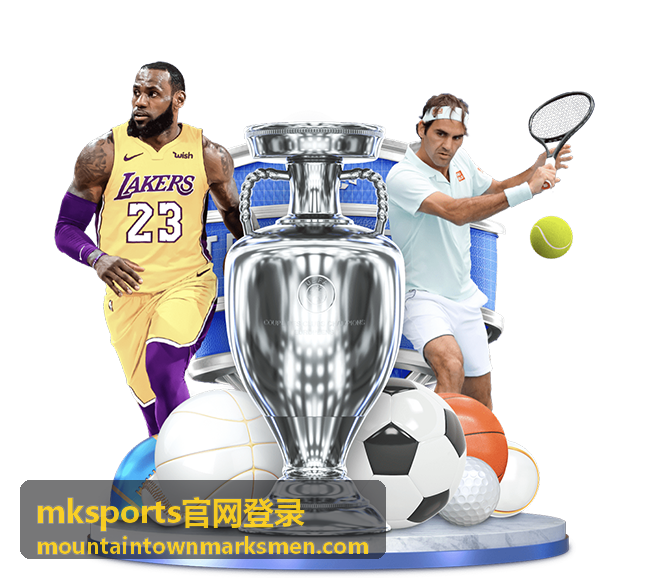 mksports官网登录账号信息校验失败示意