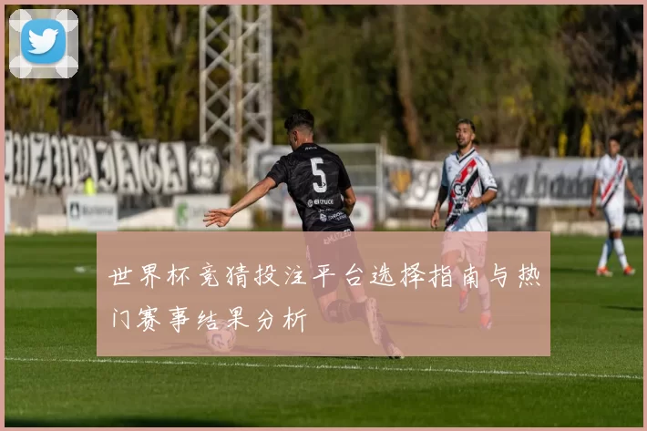 世界杯竞猜投注平台选择指南与热门赛事结果分析
