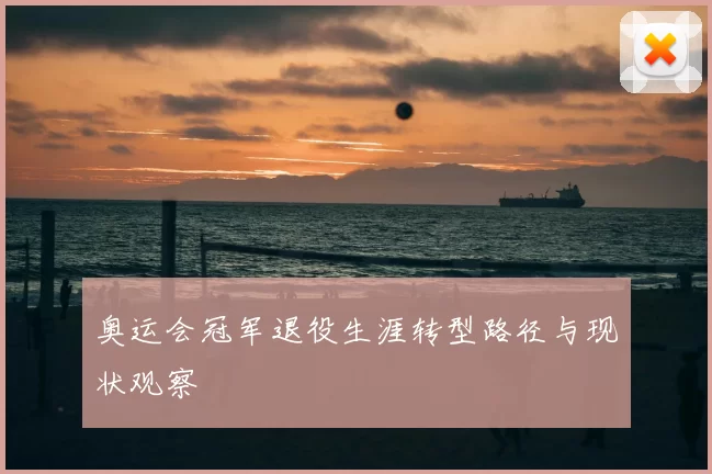 奥运会冠军退役生涯转型路径与现状观察
