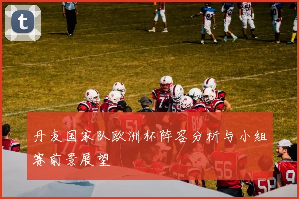 丹麦国家队欧洲杯阵容分析与小组赛前景展望