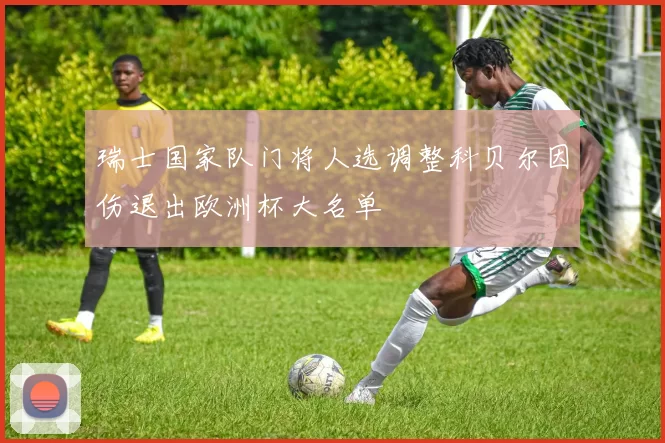 瑞士国家队门将人选调整科贝尔因伤退出欧洲杯大名单