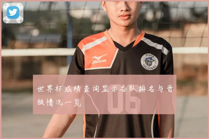 世界杯成绩查询显示各队排名与晋级情况一览