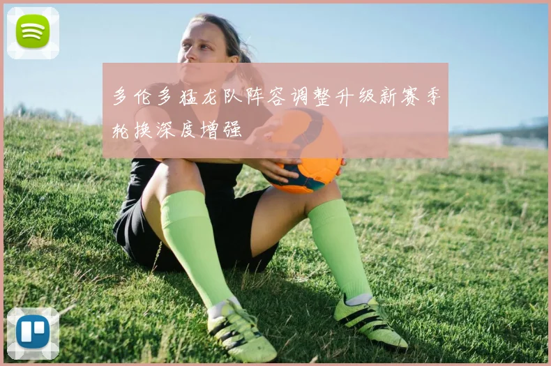 多伦多猛龙队阵容调整升级新赛季轮换深度增强