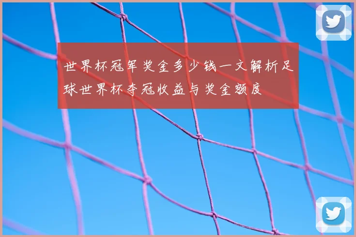 世界杯冠军奖金多少钱一文解析足球世界杯夺冠收益与奖金额度